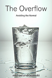 The Overflow: Avoiding the Normal ebook cover