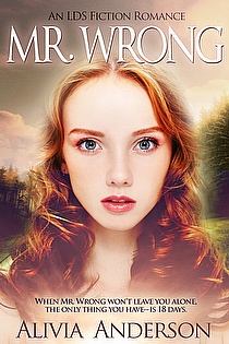 Mr. Wrong ebook cover