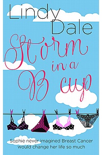 Storm in a B Cup ebook cover