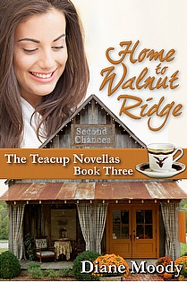 Home to Walnut Ridge ebook cover