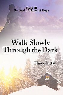 Walk Slowly Through The Dark ebook cover