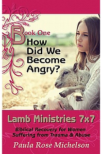 How Did We Become Angry?  ebook cover