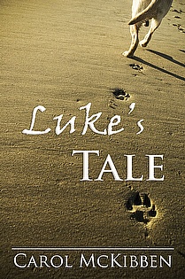 Luke's Tale ebook cover