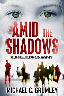 Amid the Shadows ebook cover