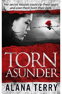 Torn Asunder ebook cover