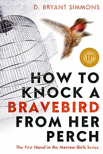 How to Knock a Bravebird from Her Perch ebook cover