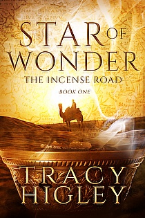 Star of Wonder ebook cover