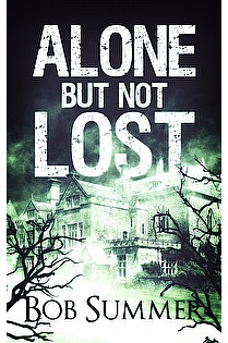 Alone But Not Lost ebook cover