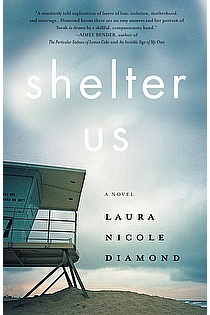 Shelter Us  ebook cover