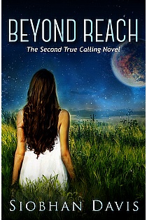 Beyond Reach ebook cover