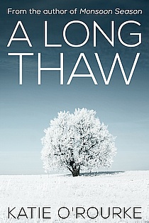 A Long Thaw ebook cover