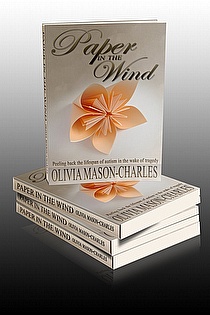 Paper in the Wind ebook cover