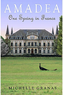 Amadea: One Spring in France ebook cover