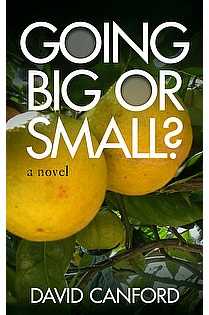 Going Big or Small ebook cover