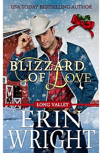 Blizzard of Love ebook cover